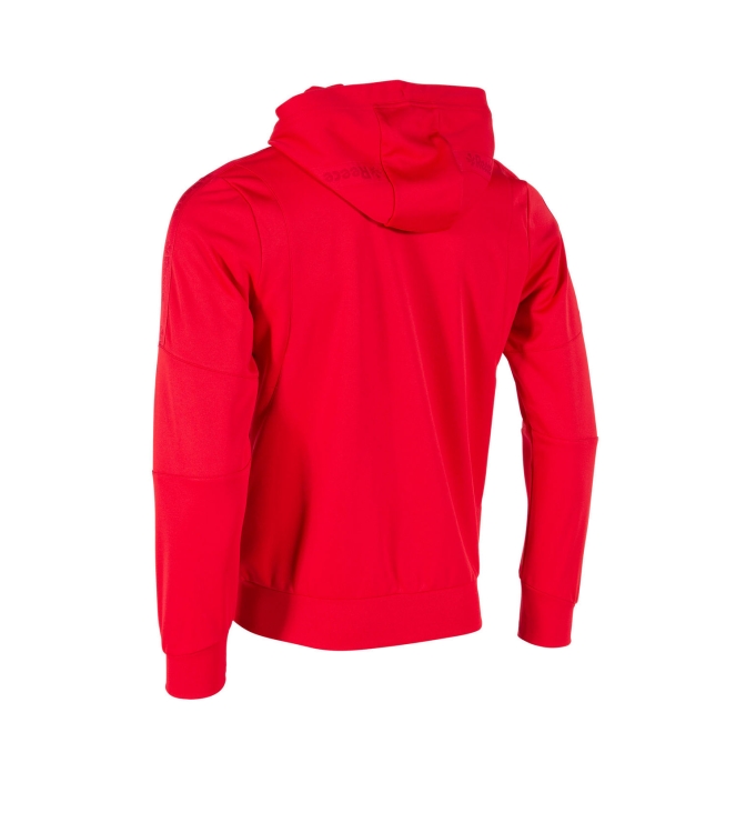 Reece Reece Cleve TTS Hooded Top FZ Unisex red 808010-6000 Red Reece hockeykleding 808010-6000 geel bij Leerentveldvrijetijd.nl