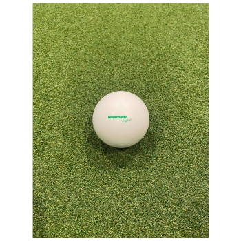 Brabo Comp Balls Smooth Leerentveld