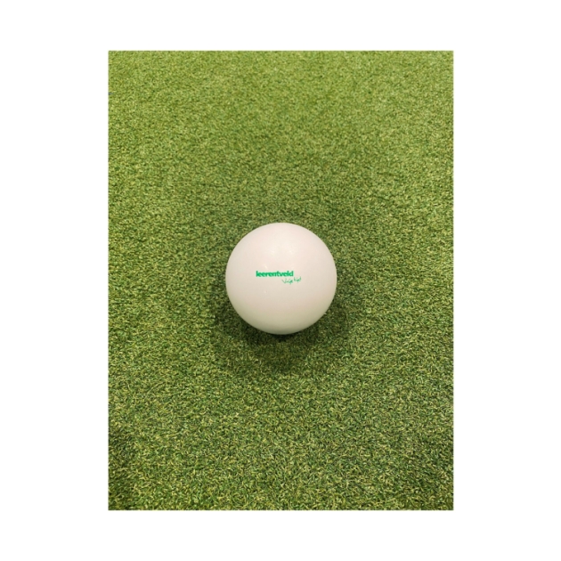 brabo Comp Balls Smooth Leerentveld 319.02020.000