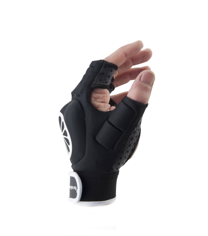 The Indian Maharadja bescherming 10810013  bij Leerentveldvrijetijd.nl