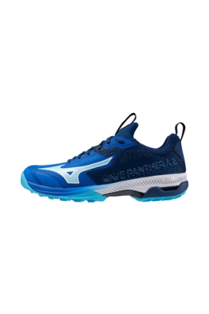 Blauw 