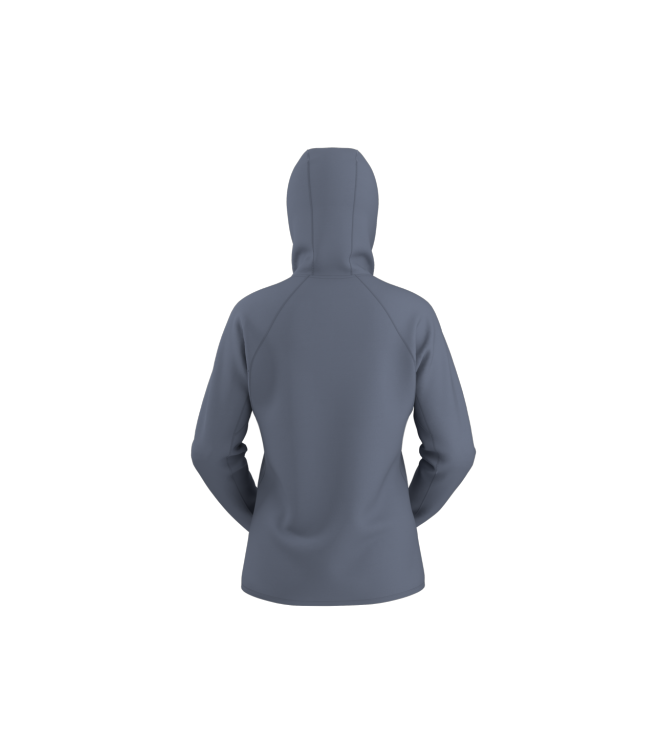 Arc'teryx fleeces en truien X000008535 antraciet bij Leerentveldvrijetijd.nl