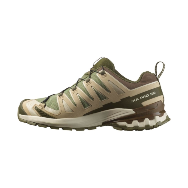 Salomon XA Pro 3D V9 GTX Dlicgr/Sfari/Dkea L47820200