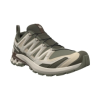 Salomon XA Pro 3D V9 GTX Dlicgr/Sfari/Dkea L47820200
