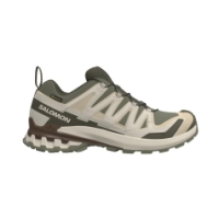 Salomon XA Pro 3D V9 GTX Dlicgr/Sfari/Dkea L47820200