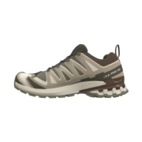 Salomon XA Pro 3D V9 GTX Dlicgr/Sfari/Dkea L47820200