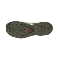 Salomon XA Pro 3D V9 GTX Dlicgr/Sfari/Dkea L47820200