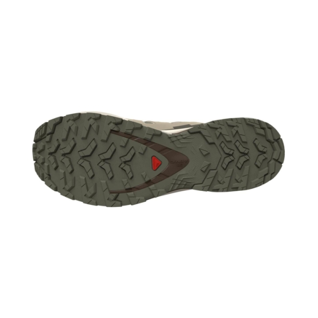 Salomon XA Pro 3D V9 GTX Dlicgr/Sfari/Dkea L47820200