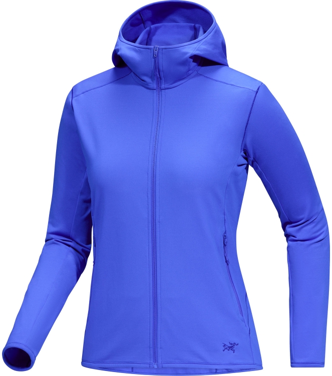 Arc'teryx fleeces en truien X000009645 antraciet bij Leerentveldvrijetijd.nl