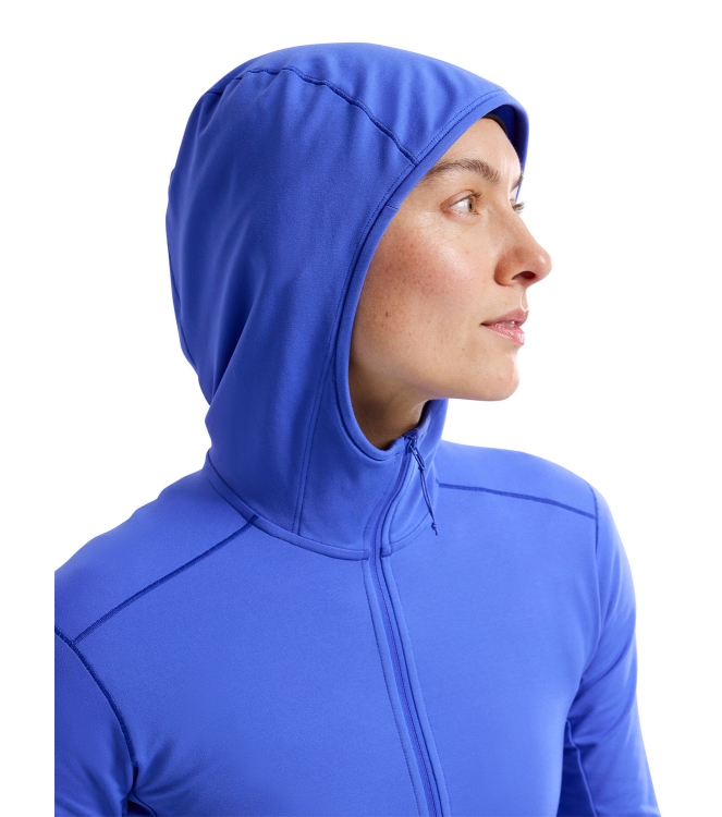 Arc'teryx fleeces en truien X000009645 antraciet bij Leerentveldvrijetijd.nl