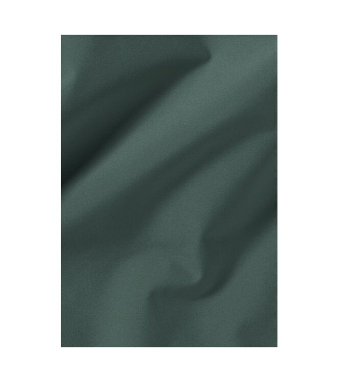 Jack Wolfskin Jack Wolfskin Tempest 2L JKT M e0271_sago palm A63900 E0271_sago palm Jack Wolfskin jassen A63900 blauw bij Leerentveldvrijetijd.nl