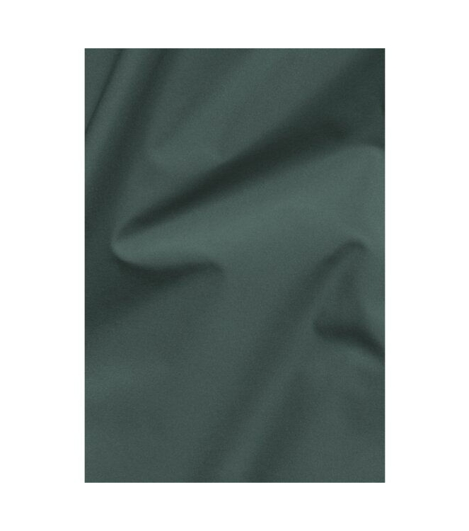 Jack Wolfskin Jack Wolfskin Tempest 2L JKT W e0271_sago palm A63901 E0271_sago palm Jack Wolfskin jassen A63901 blauw bij Leerentveldvrijetijd.nl