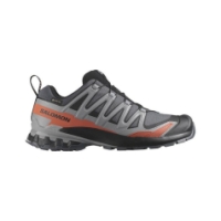 salomon XA Pro 3D V9 GTX Turbul/Black/Burn L47817500