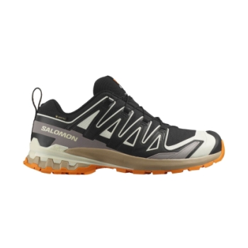 Salomon XA Pro 3D V9 GTX
