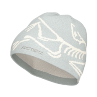 arc'teryx Bird Head Toque Solitude / Arctic Silk X000006756