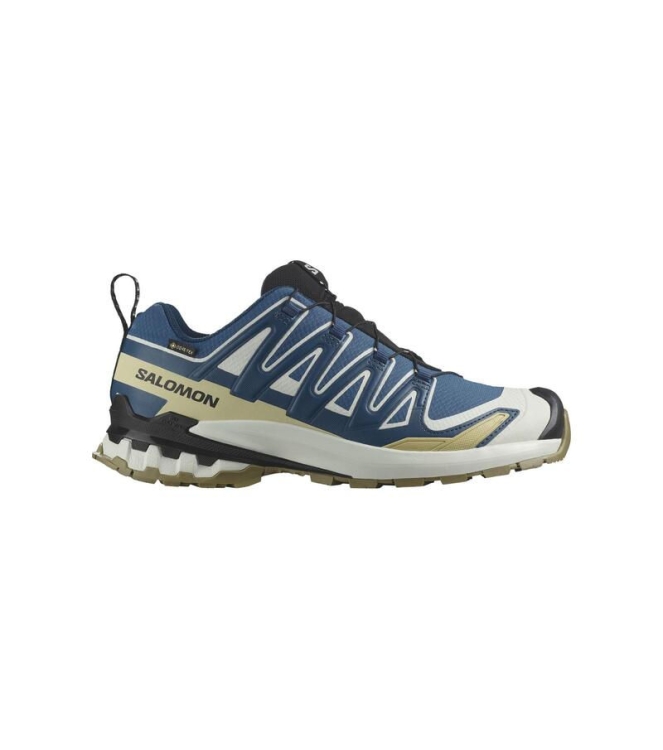 Salomon Salomon XA Pro 3D V9 GTX dark b/icicle/alo L47817400 Dark B/Icicle/Alo Salomon wandelschoenen L47817400 antraciet bij Leerentveldvrijetijd.nl