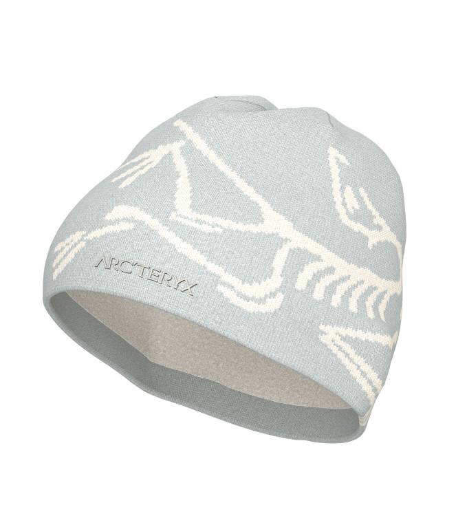 Arc'teryx Arc\'teryx Bird Head Toque solitude / arctic silk X000006756 Solitude / Arctic Silk Arc'teryx wintersportkleding X000006756 turquoise bij Leerentveldvrijetijd.nl