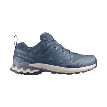 Salomon XA Pro 3D V9 GTX