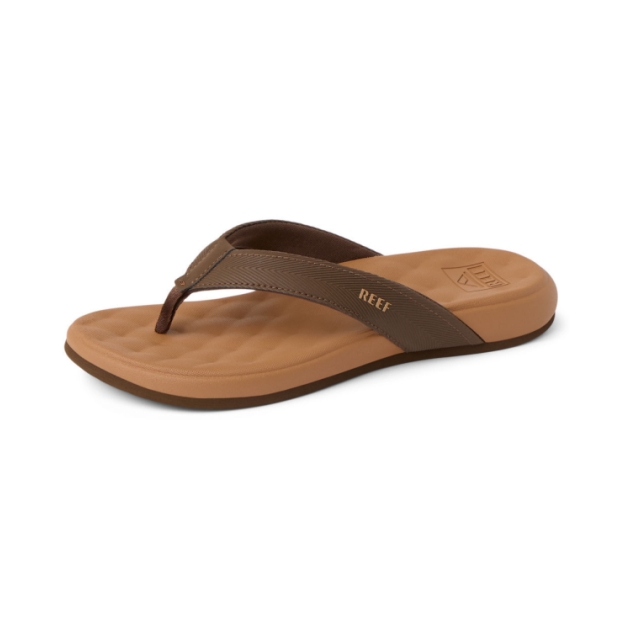 reef Cushion Melody Chocolate/Lion CJ8709-61