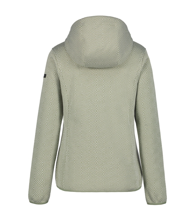 Icepeak Icepeak Adrian 513_light green 9_54863_490_I 513_Light Green Icepeak fleeces en truien 9_54863_490_I zwart bij Leerentveldvrijetijd.nl