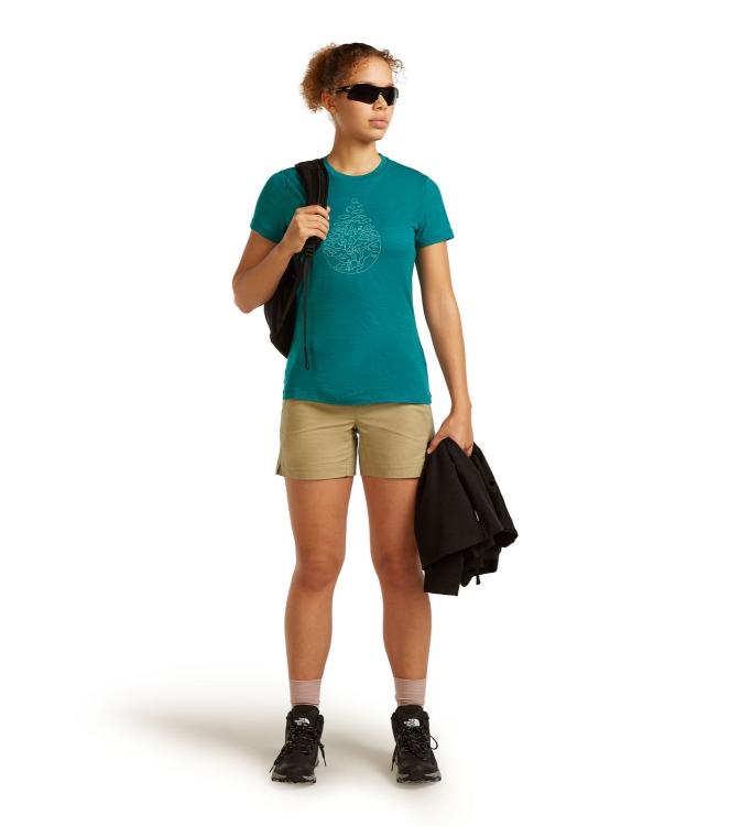 Icebreaker fleeces en truien IB0A56YJ antraciet bij Leerentveldvrijetijd.nl