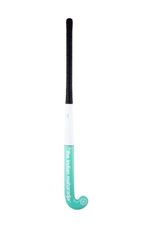 The Indian Maharadja The Indian Maharadja Gravity 10 wit/mintgroen The Indian Maharadja The Indian Maharadja Gravity 10 wit/mintgroen