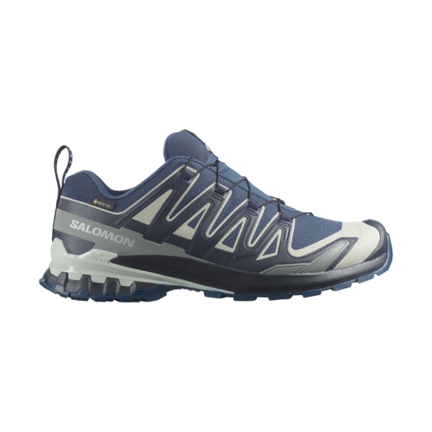 salomon Xa Pro 3 D V9 Gtx Spellbound / Maritime Blue L49199200