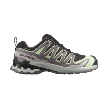 Salomon Xa Pro 3 D V9 Gtx W