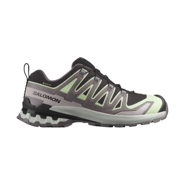 salomon Xa Pro 3 D V9 Gtx W Black / Patina Green L47882300