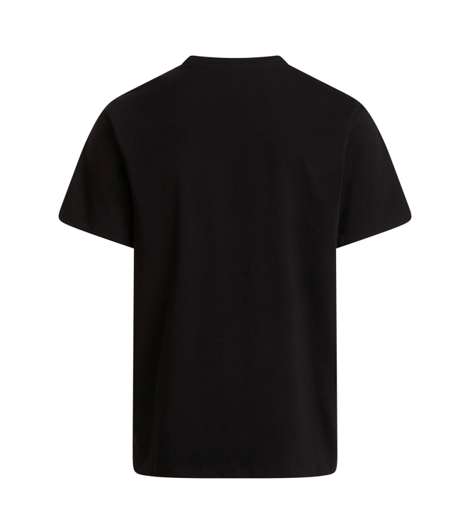 The North Face The North Face M Evolution Simple Dome Regular Short Sl jk3 tnf black NF0A8CZ2 JK3 Tnf Black The North Face fleeces en truien NF0A8CZ2 licht grijs bij Leerentveldvrijetijd.nl