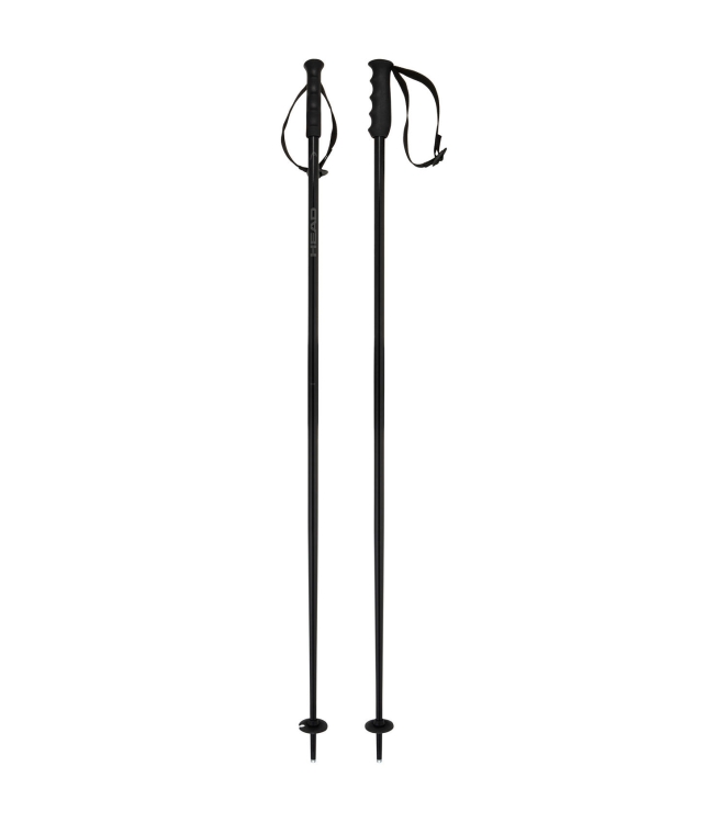 Head Head Multi skistokken black 381856 Black Head ski 381856 licht grijs bij Leerentveldvrijetijd.nl