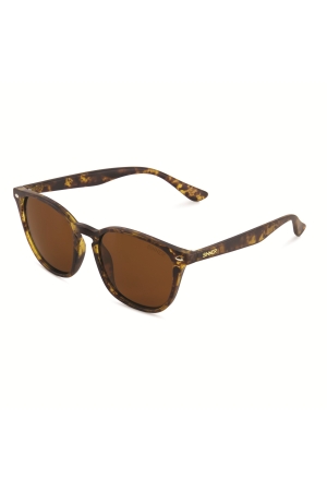 Sinner Sinner Sorai Sintec Brown Matte Tortoise Brown Sinner Sinner Sorai Sintec Brown Matte Tortoise Brown