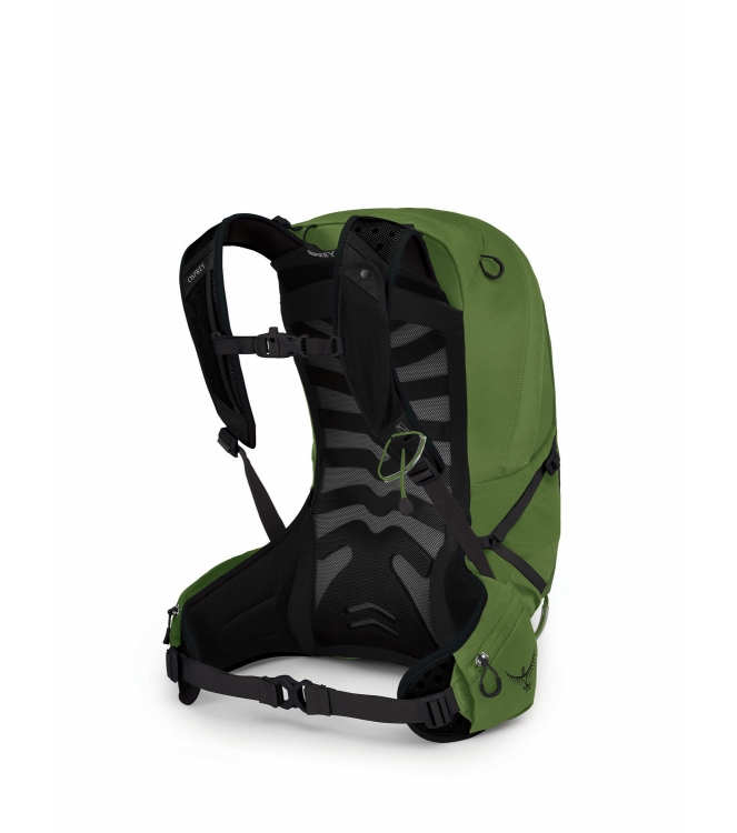 Osprey Osprey Talon 22 green belt/black 1917 Green Belt/Black Osprey tassen 1917 blauw bij Leerentveldvrijetijd.nl