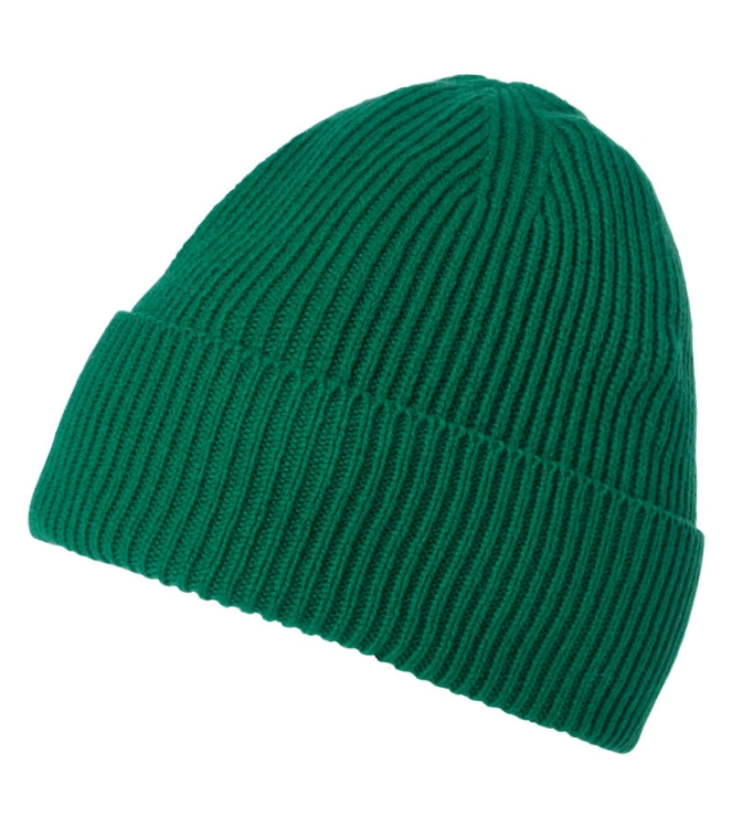 Helly Hansen Helly Hansen HH Wool Beanie emerald 67530_439 Emerald Helly Hansen wintersportkleding 67530_439 blauw bij Leerentveldvrijetijd.nl