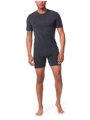 Icebreaker Icebreaker Mens Anatomica SS Crewe