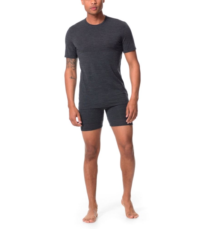 Icebreaker wintersportkleding IB103033 licht grijs bij Leerentveldvrijetijd.nl