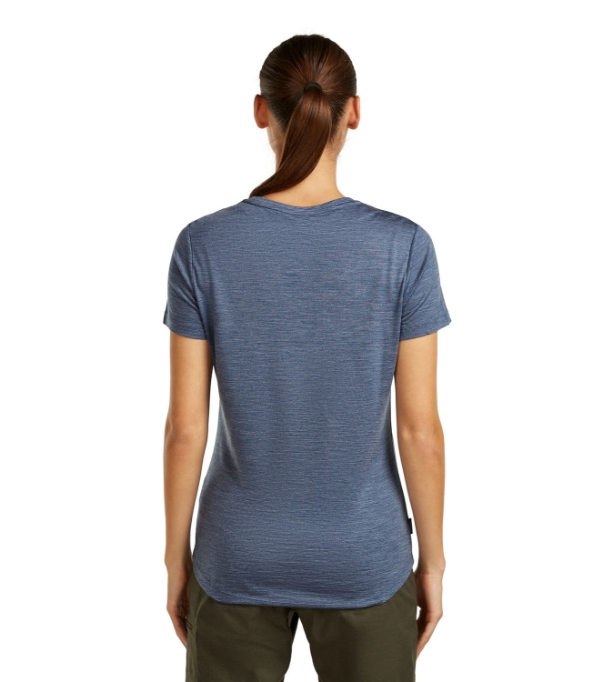 Icebreaker fleeces en truien IB0A56ZP antraciet bij Leerentveldvrijetijd.nl