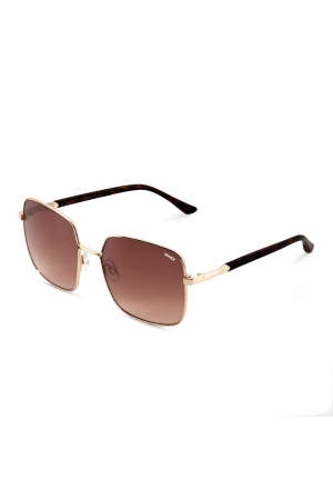 Sinner Sinner Madiki zonnebril Shiny Gold Metal-Grad Brown Sinner Sinner Madiki zonnebril Shiny Gold Metal-Grad Brown